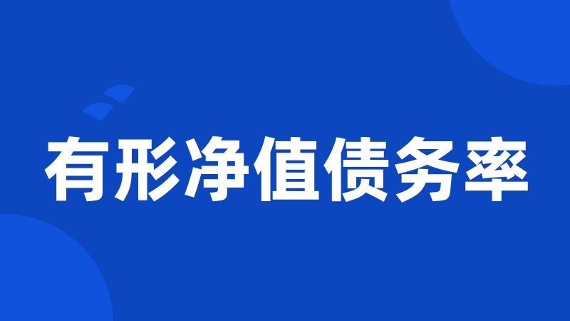 有形净值债务率