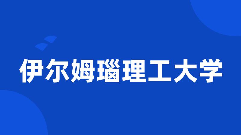 伊尔姆瑙理工大学