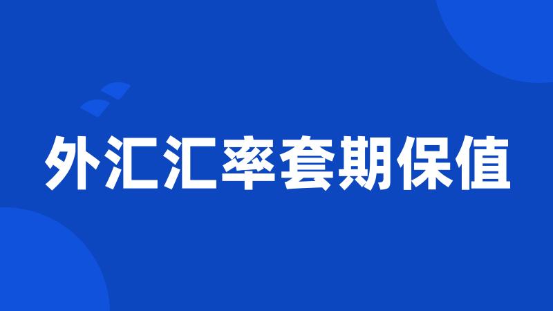 外汇汇率套期保值
