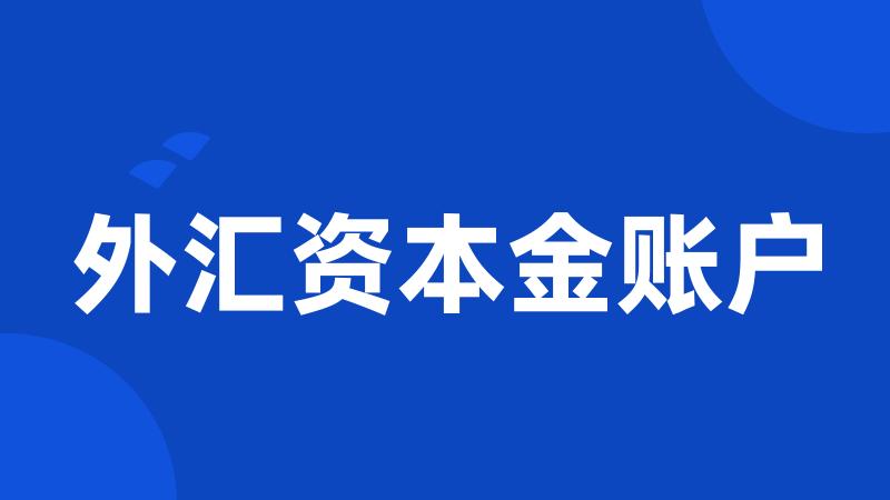 外汇资本金账户