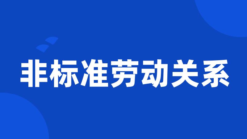 非标准劳动关系