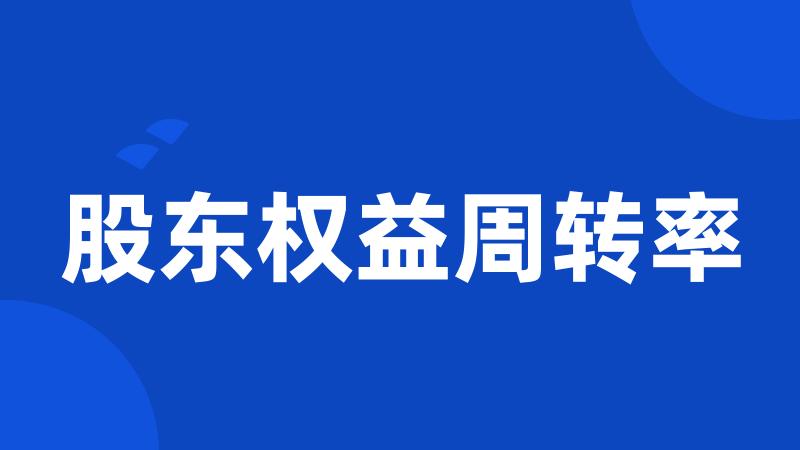 股东权益周转率