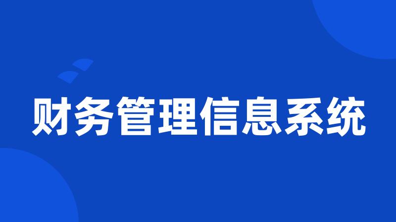 财务管理信息系统