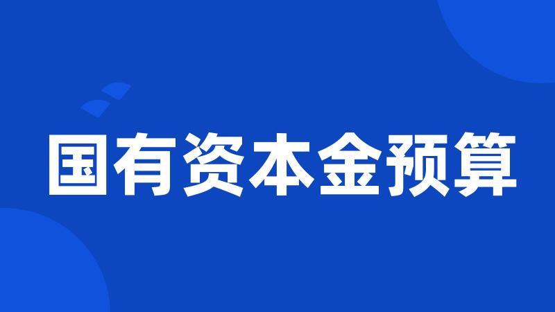 国有资本金预算