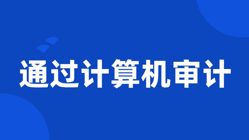 通过计算机审计