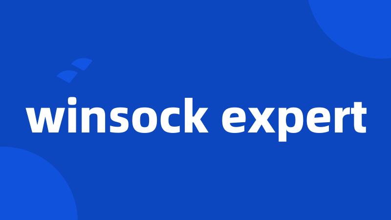 winsock expert