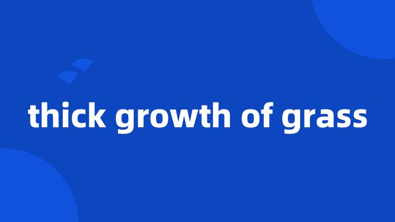 thick growth of grass