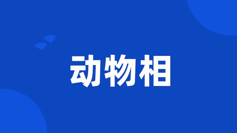 动物相