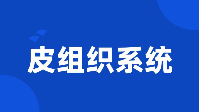皮组织系统