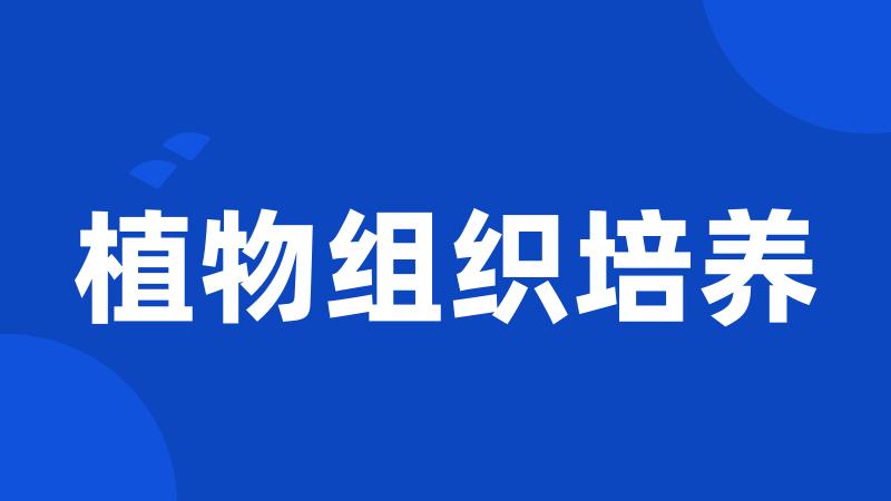 植物组织培养