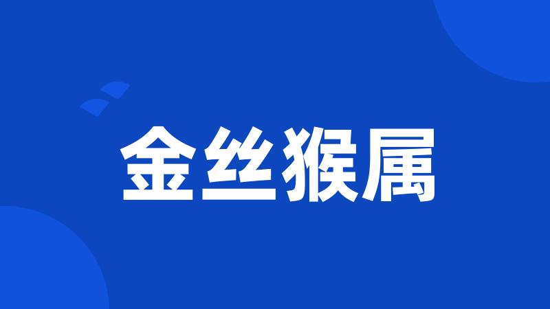 金丝猴属