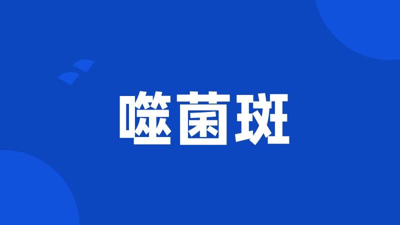 噬菌斑