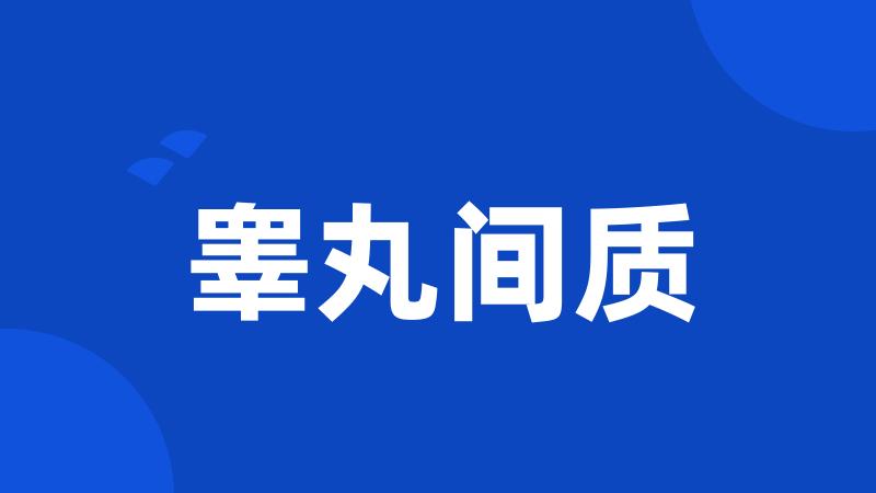 睾丸间质