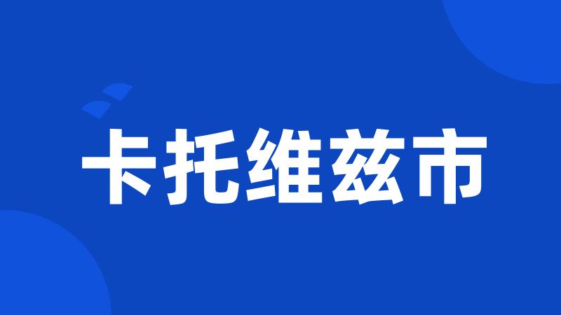卡托维兹市