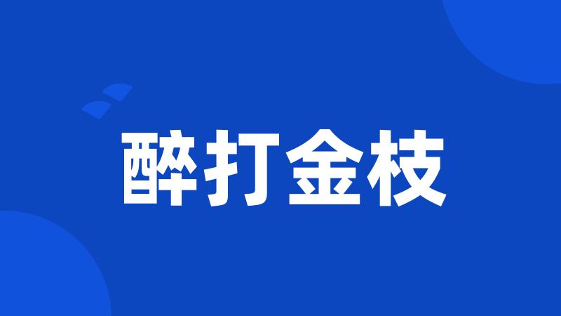 醉打金枝