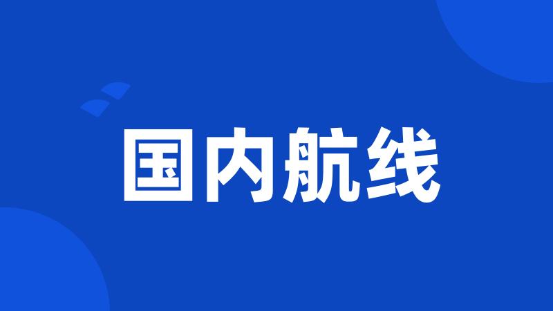 国内航线