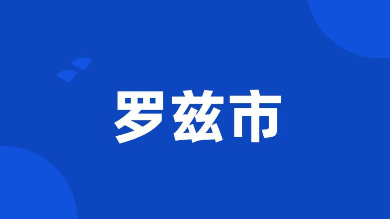 罗兹市