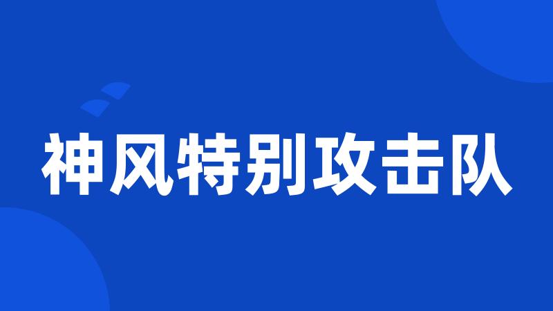 神风特别攻击队