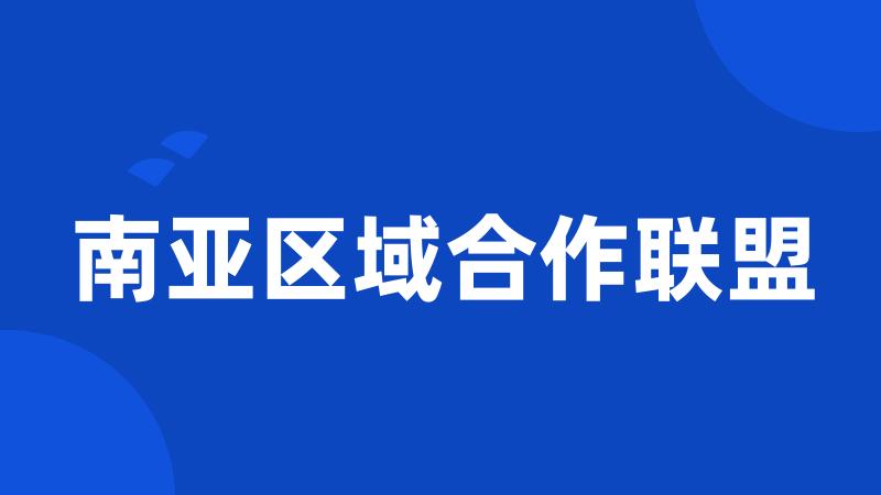南亚区域合作联盟
