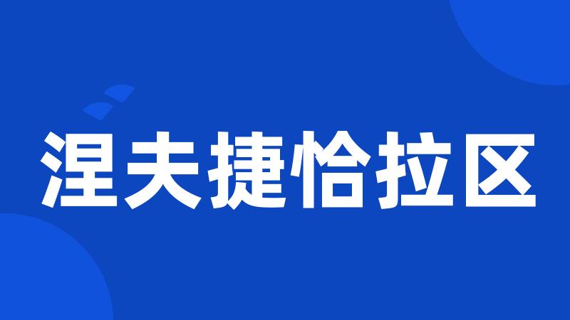 涅夫捷恰拉区
