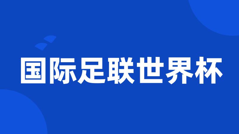 国际足联世界杯