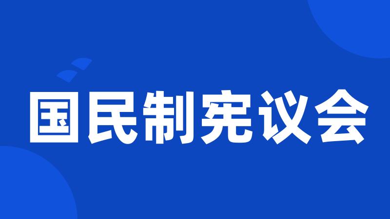 国民制宪议会