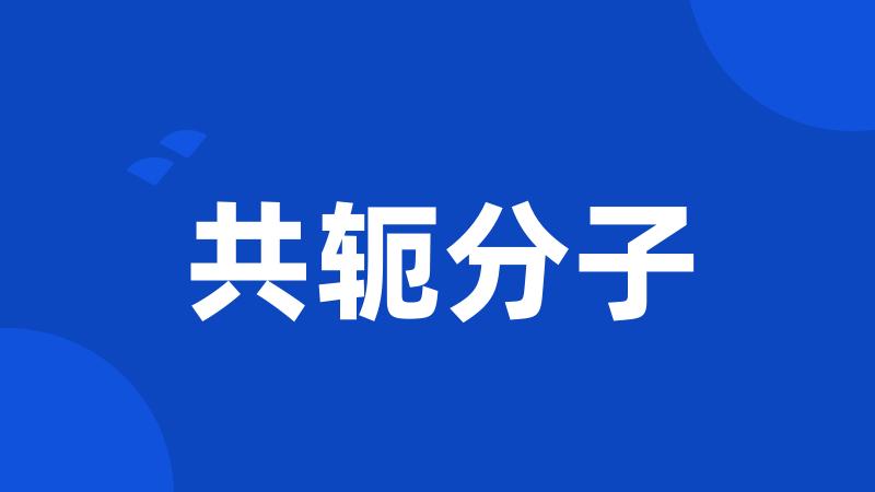 共轭分子