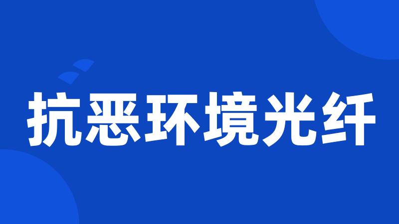 抗恶环境光纤