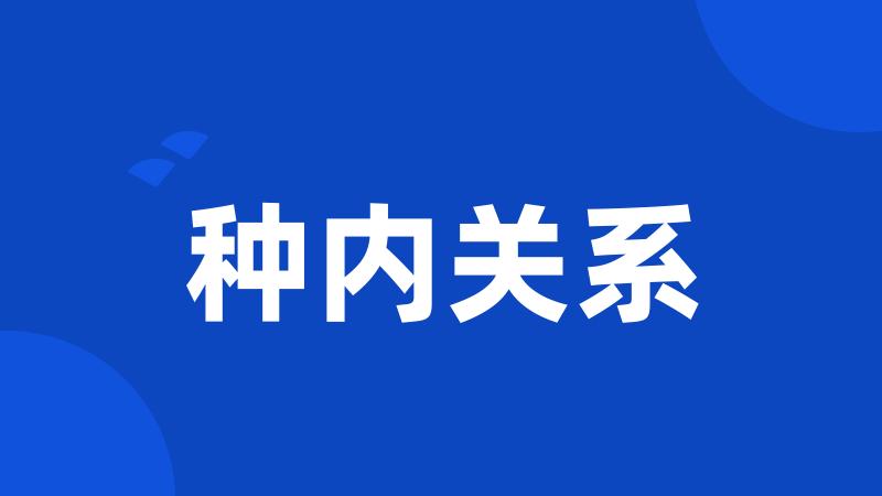 种内关系