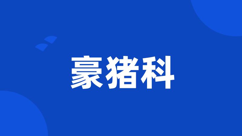 豪猪科