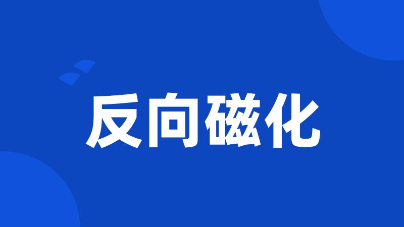反向磁化