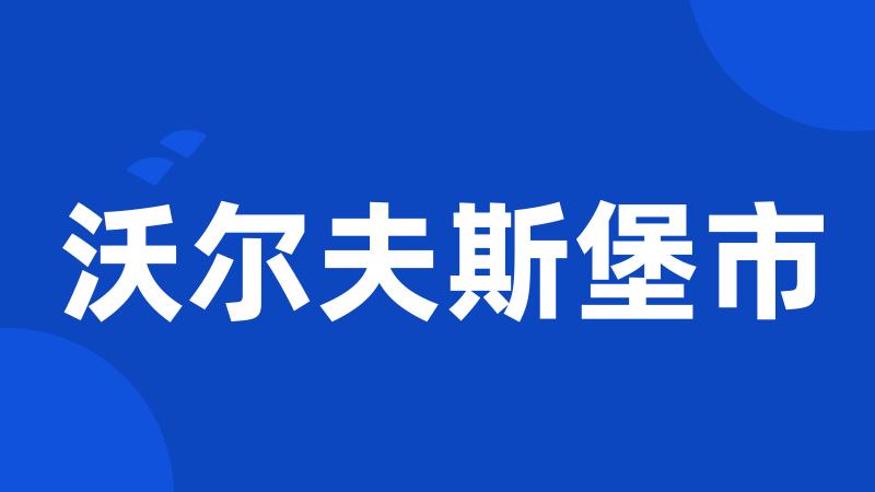 沃尔夫斯堡市