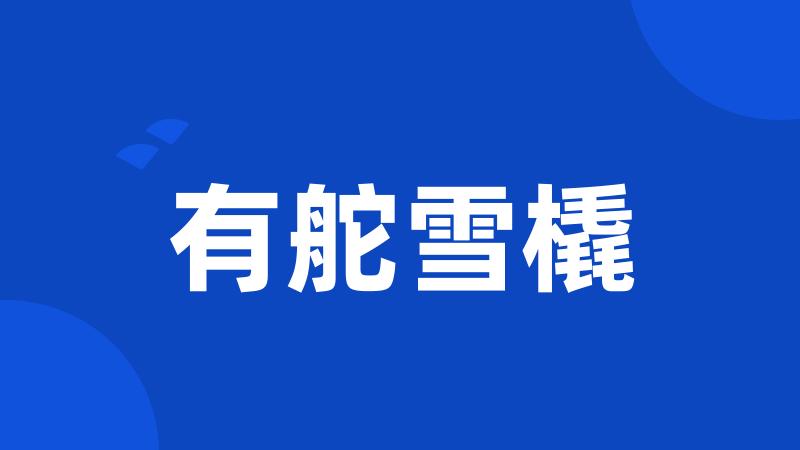 有舵雪橇