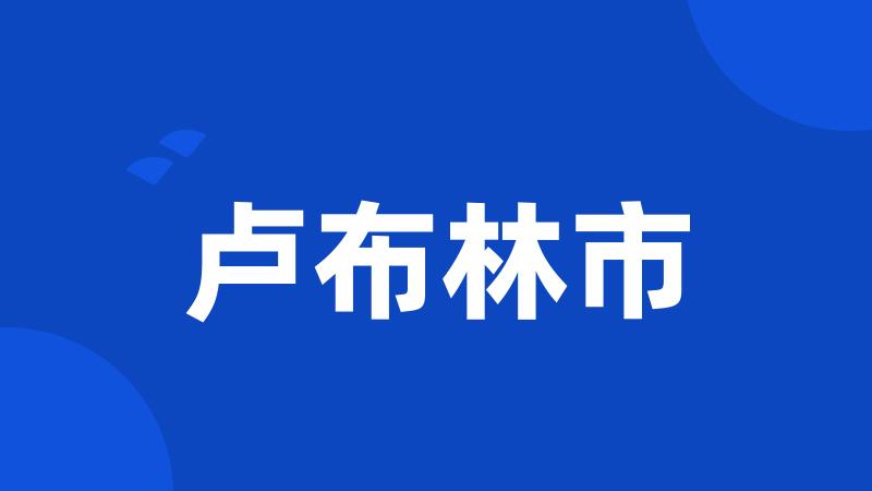 卢布林市