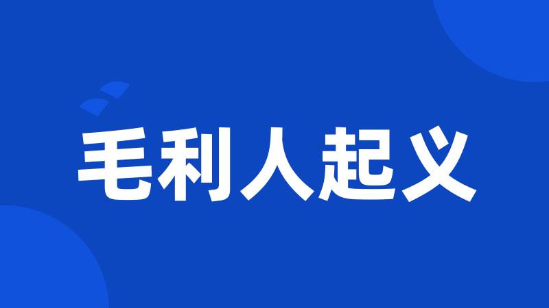 毛利人起义