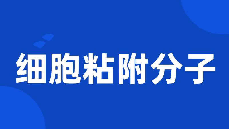 细胞粘附分子