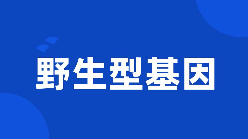 野生型基因