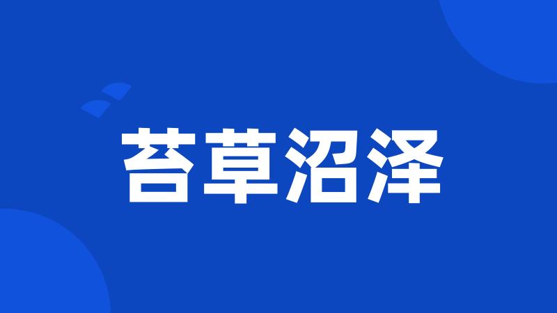苔草沼泽
