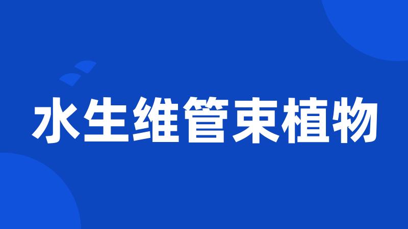 水生维管束植物