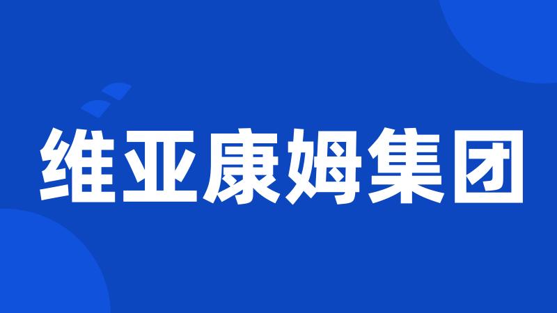 维亚康姆集团
