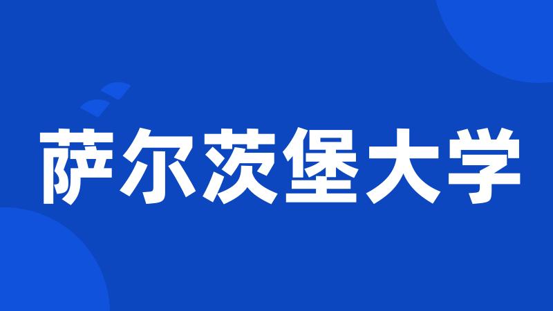 萨尔茨堡大学