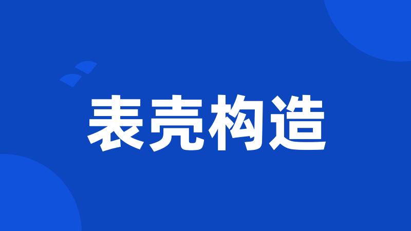 表壳构造