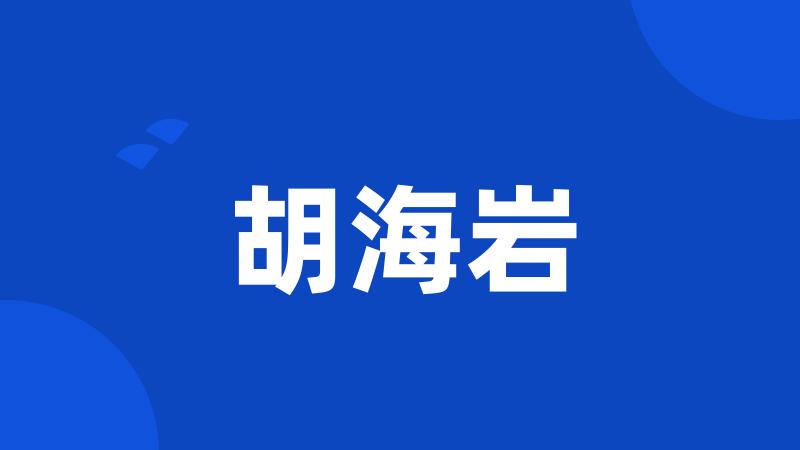 胡海岩