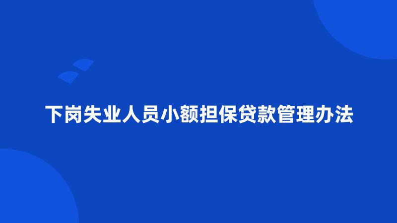 下岗失业人员小额担保贷款管理办法