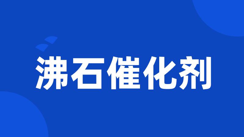 沸石催化剂