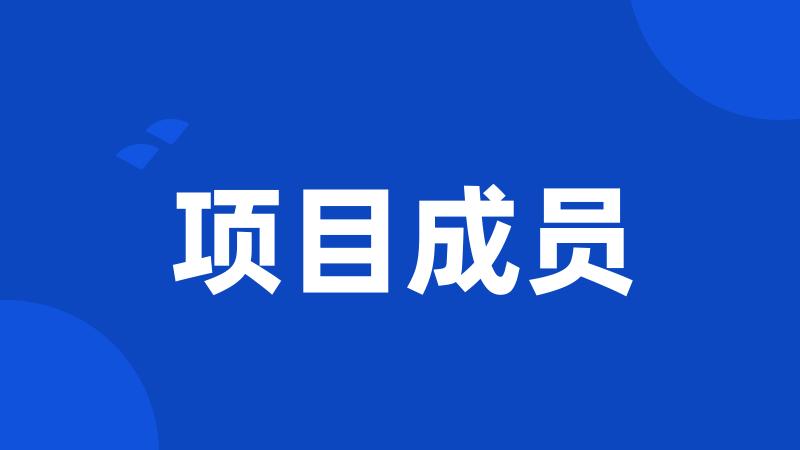 项目成员