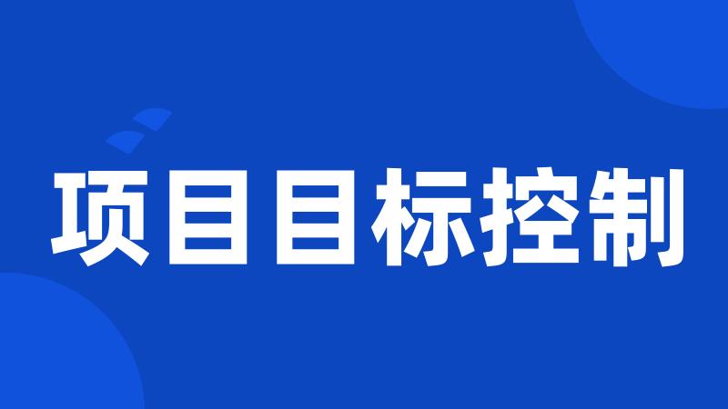项目目标控制