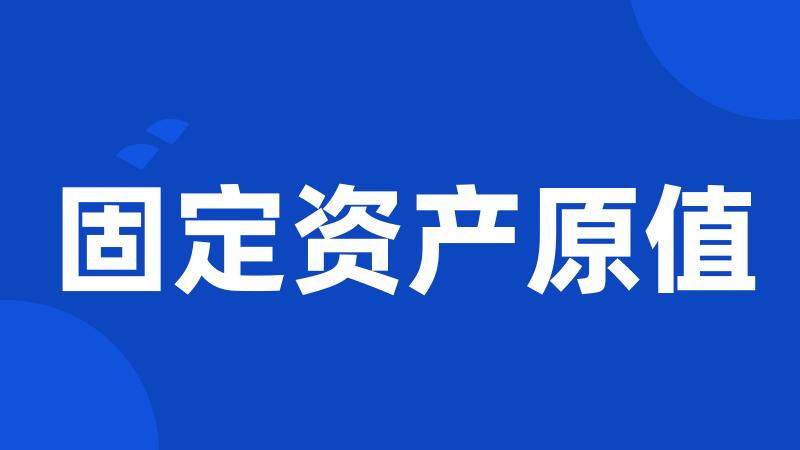 固定资产原值