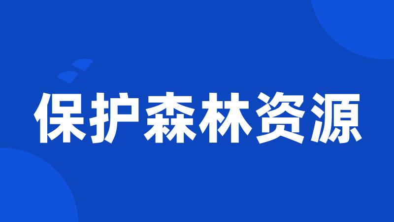 保护森林资源