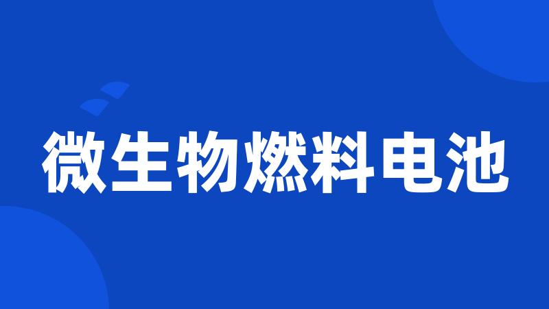 微生物燃料电池